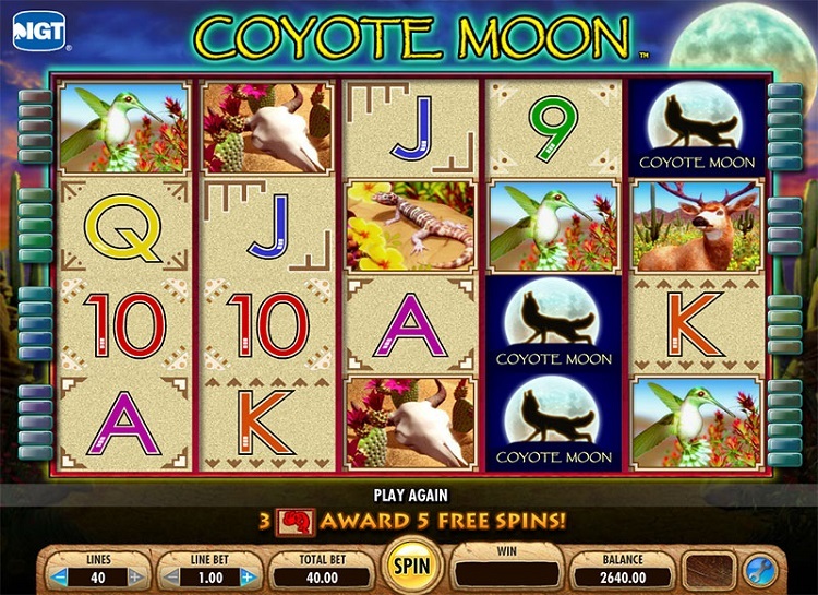 Coyote moon slots no download